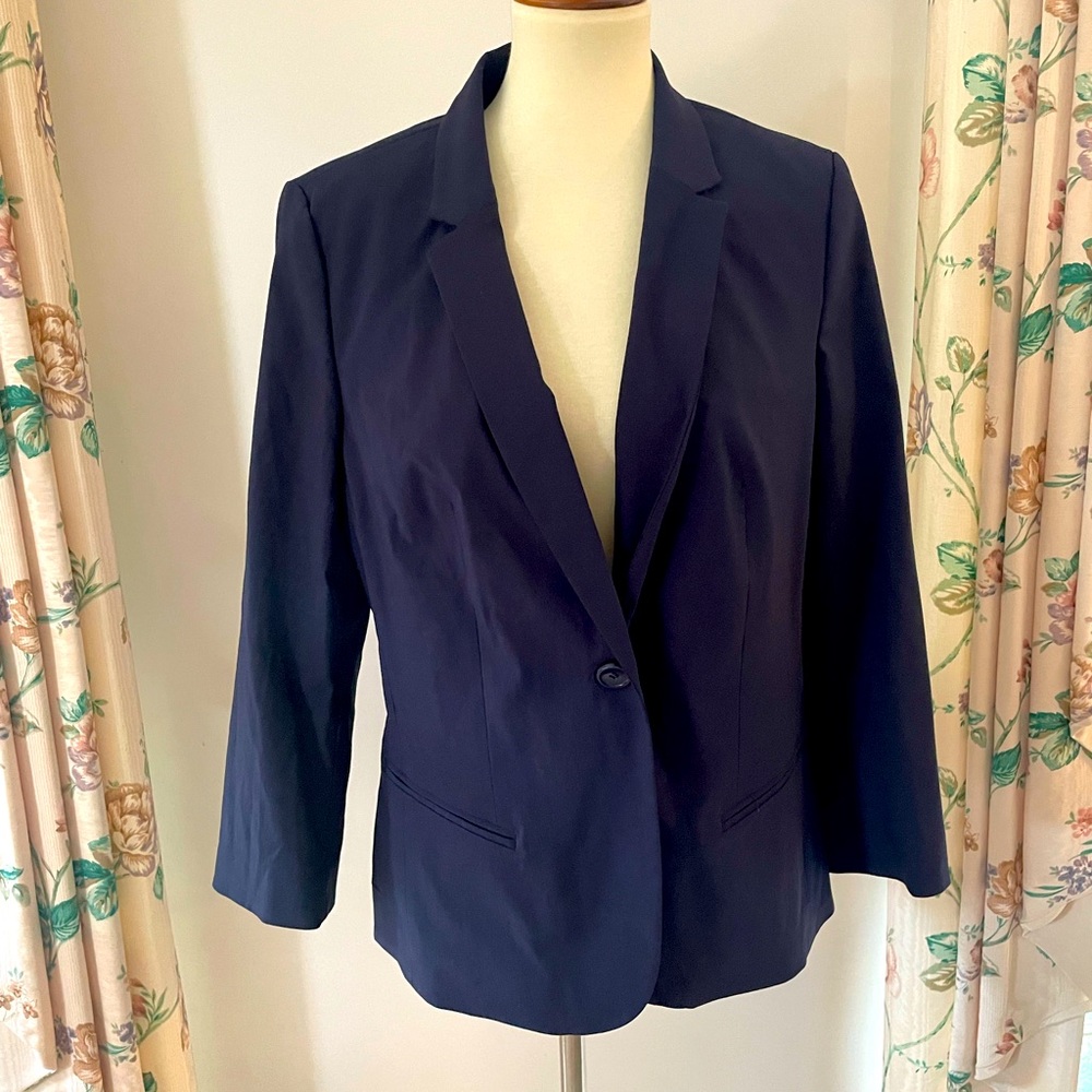 NWT Exact Stretch from The Limited